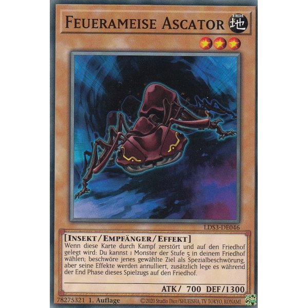 Feuerameise Ascator LDS3-DE046