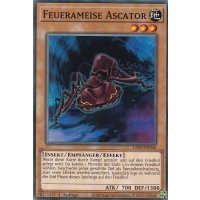 Feuerameise Ascator LDS3-DE046