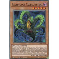 Raubpflanze Taublatthydra LDS3-DE070