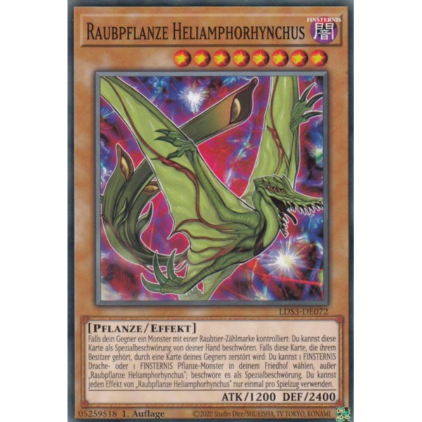 Raubpflanze Heliamphorhynchus LDS3-DE072