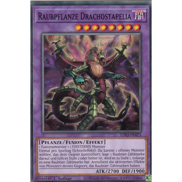 Raubpflanze Drachostapelia LDS3-DE075