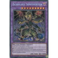 Raubpflanze Triphyoverutum LDS3-DE076