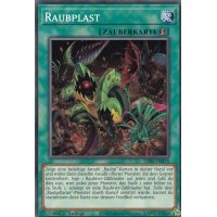 Raubplast LDS3-DE078