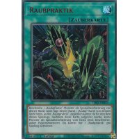 Raubpraktik LDS3-DE079-rot