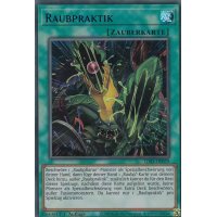Raubpraktik LDS3-DE079-blau