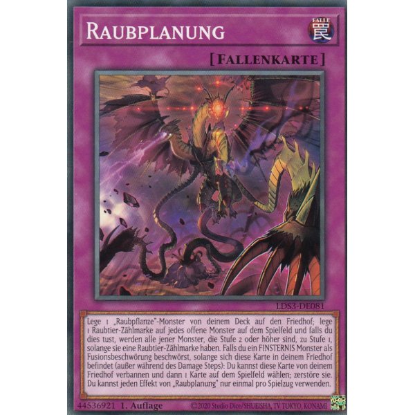 Raubplanung LDS3-DE081