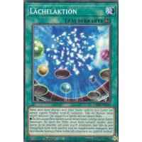 L&auml;chelaktion LDS3-DE133