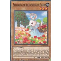 Frühlingssylphe der blumenreichen Felder POTE-DE018