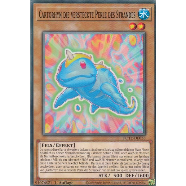 Cartorhyn die versteckte Perle des Strandes POTE-DE036