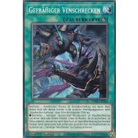 Gefräßiger Venschrecken POTE-DE064