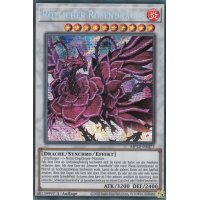 Rötlicher Rosendrache MP22-DE077