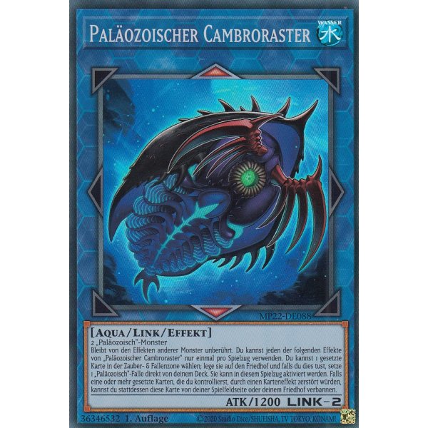 Pal&auml;ozoischer Cambroraster MP22-DE088