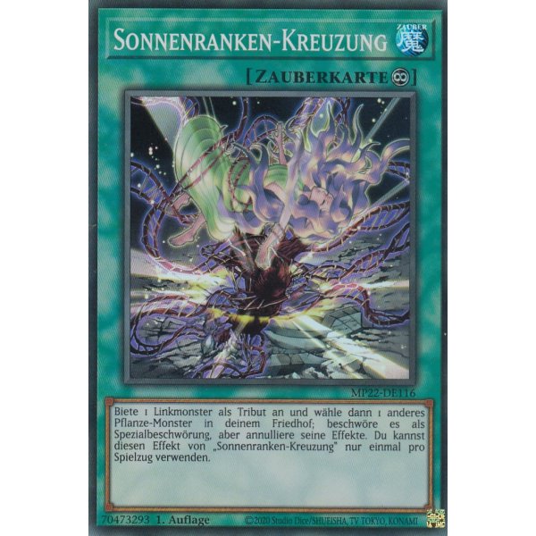 Sonnenranken-Kreuzung MP22-DE116