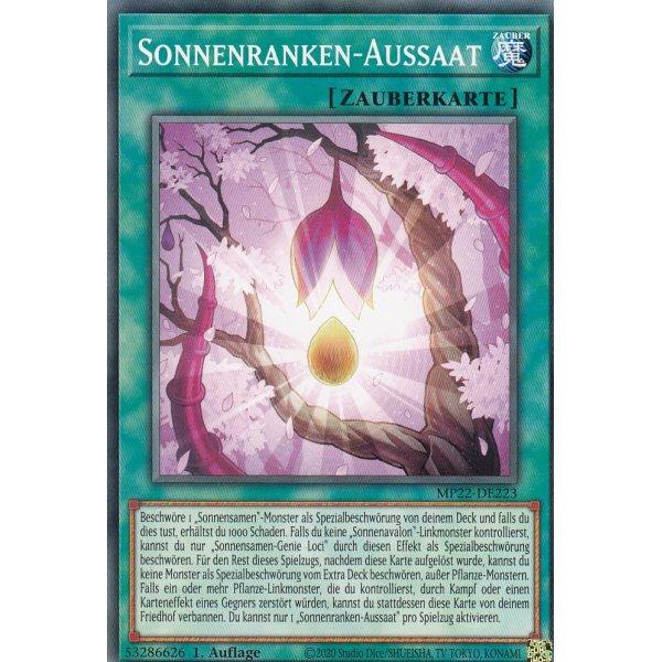 Sonnenranken-Aussaat MP22-DE223