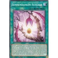 Sonnenranken-Aussaat MP22-DE223