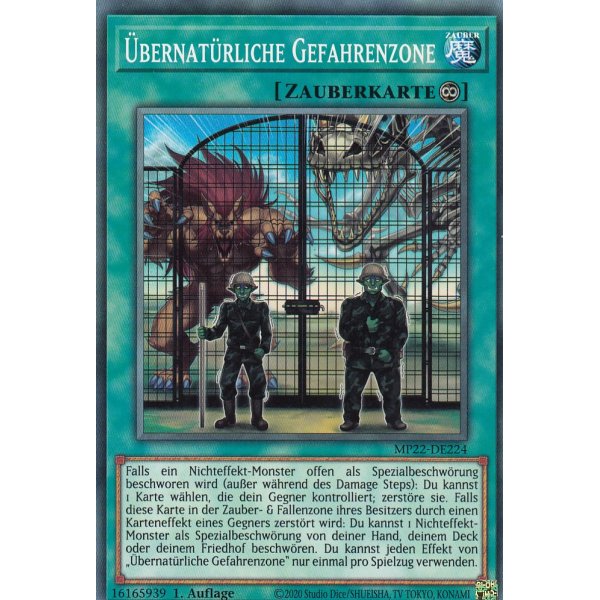 &Uuml;bernat&uuml;rliche Gefahrenzone MP22-DE224