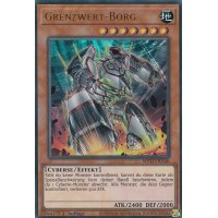 Grenzwert-Borg MP22-DE246