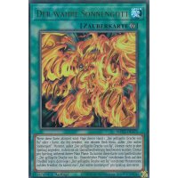 Der wahre Sonnengott MP22-DE275