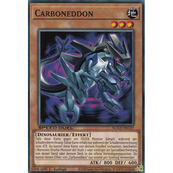Carboneddon SGX2-DEC07