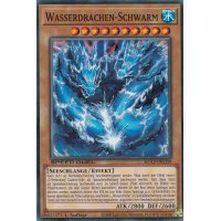Wasserdrachen-Schwarm SGX2-DEC09