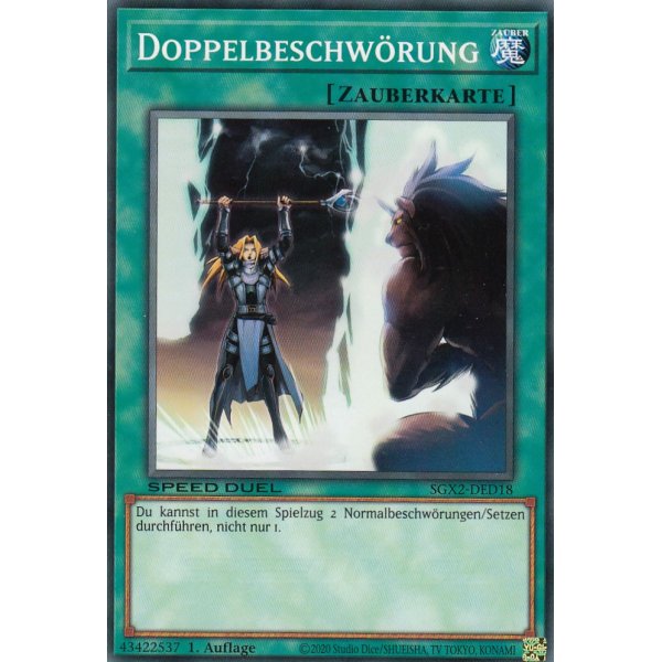Doppelbeschw&ouml;rung SGX2-DED18