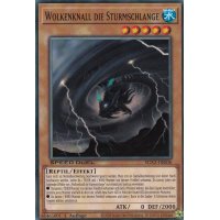 Wolkenknall die Sturmschlange SGX2-DEE06