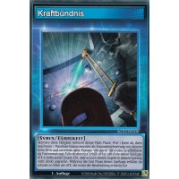 Kraftb&uuml;ndnis SGX2-DES08