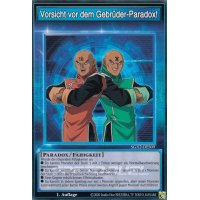 Vorsicht vor dem Gebr&uuml;der-Paradox! SGX2-DES09