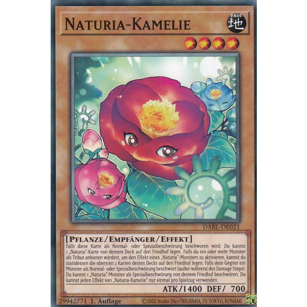 Naturia-Kamelie DABL-DE021