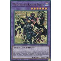 Meizen der Kampf-Ninja DABL-DE040