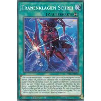 Tr&auml;nenklagen-Schrei DABL-DE058