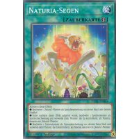 Naturia-Segen DABL-DE064
