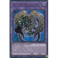 Millenniumäugiges Opfer MAMA-DE064