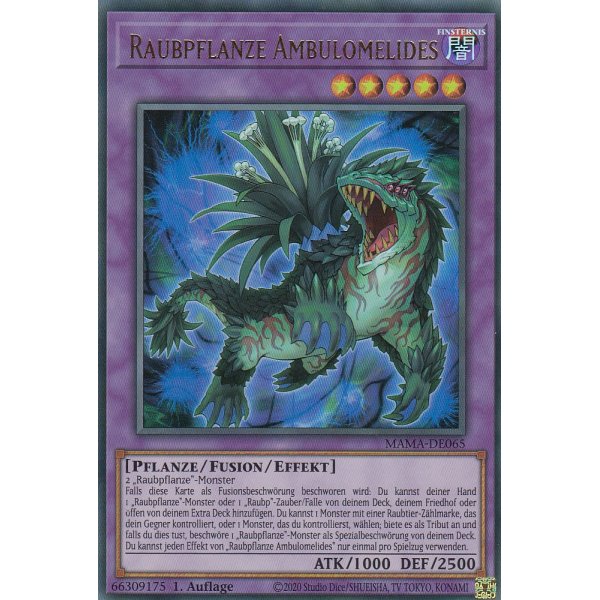 Raubpflanze Ambulomelides MAMA-DE065