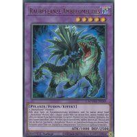 Raubpflanze Ambulomelides MAMA-DE065