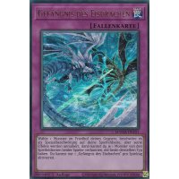 Gefängnis des Eisdrachen MAMA-DE101