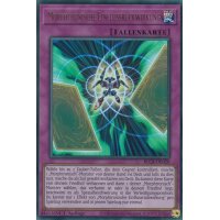 Morphtronische Einflussrückwirkung BLCR-DE020