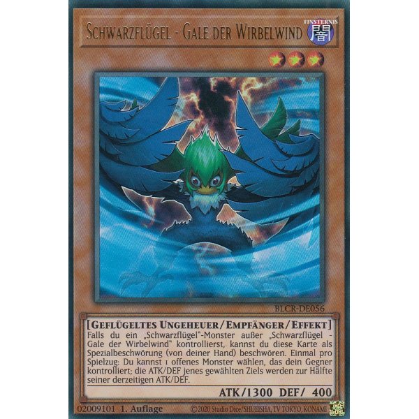 Schwarzfl&uuml;gel - Gale der Wirbelwind BLCR-DE056