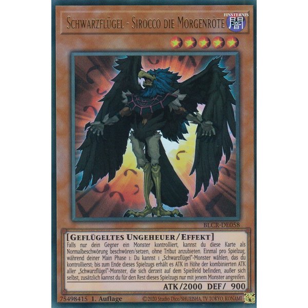 Schwarzfl&uuml;gel - Sirocco die Morgenr&ouml;te BLCR-DE058