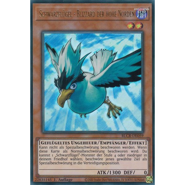 Schwarzfl&uuml;gel - Blizzard der hohe Norden BLCR-DE059