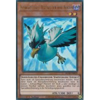 Schwarzflügel - Blizzard der hohe Norden BLCR-DE059