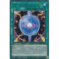 Grosalamander-Kreis BLCR-DE087