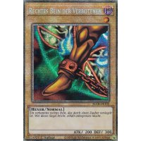 Rechtes Bein der Verbotenen (Starlight Rare) BLCR-DE102-Starlight-Rare