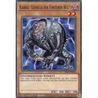 Kahkki, Guerilla der Finsteren Welt SR13-DE013
