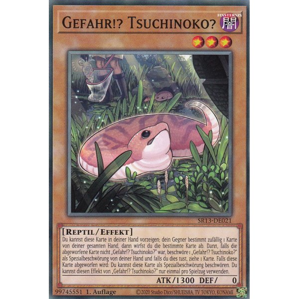 Gefahr!? Tsuchinoko? SR13-DE021