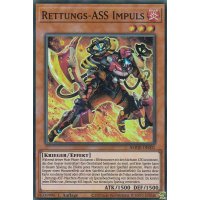 Rettungs-ASS Impuls AMDE-DE001