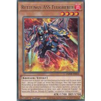 Rettungs-ASS Flugheber AMDE-DE002