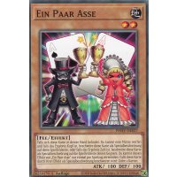 Ein Paar Asse PHHY-DE027