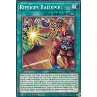 Riesiges Ballspiel PHHY-DE062