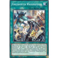 Fokussierter Wasserspiegel PHHY-DE067